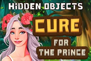 Hidden Objects: Cure for the Prince